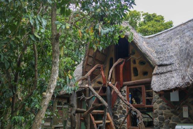 Yellowwood Forest Eco Retreat Морганс-Бэй Экстерьер фото